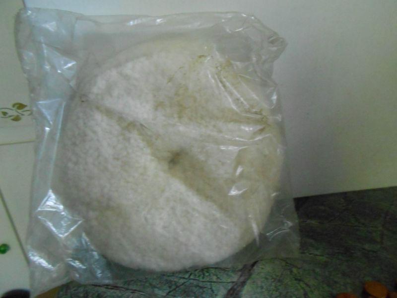 New ~schlegel buffing pad