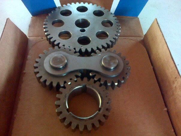 Pete jackson gear drive sbf 302 351w