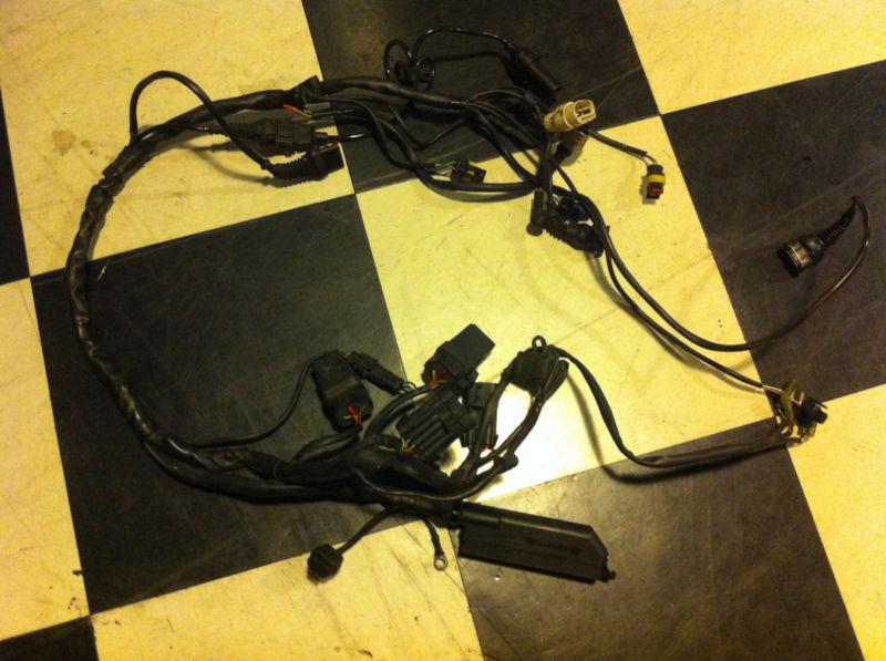 Buy Ducati Main ECU Electrical Wiring Harness Loom 2000 996 in usa, US