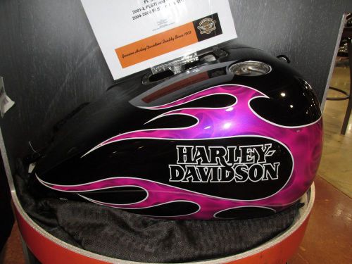 Harley-davidson softail &#034;mistress&#034; radical paint set. 95709-06cfo