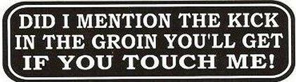 Motorcycle sticker for helmets or toolbox #905 did i mention the kick
