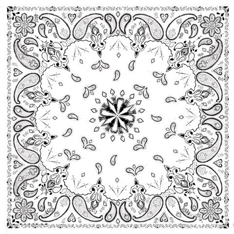 Bandanna, 100% cotton, white paisley, premium, 22 x 22 in. b004