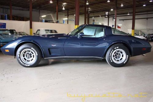 Driver's side blue t-top 1979 corvette no cracks!