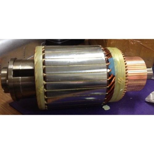 Bosch  starter armature 2004007013