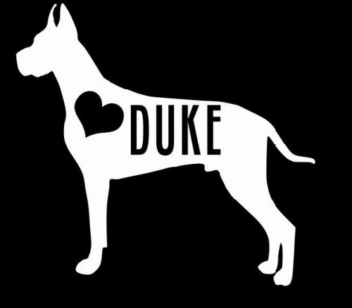Personalized dane decal sticker great dane dog vinyl laptop case pet names cat