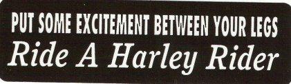 Motorcycle sticker for helmets or toolbox #17 ride a harley rider