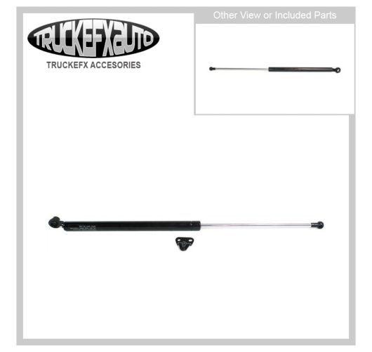 Purchase New Right Side Liftgate Lift Support Passenger RH Hand