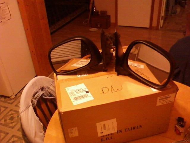 Dodge power heated mirrors
