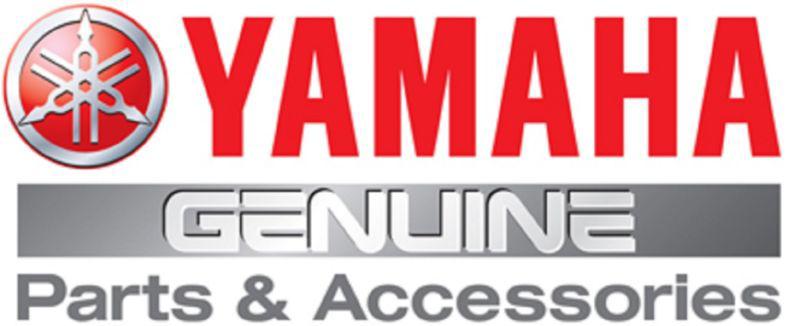 Yamaha 646-24251-02-00 strainer 1