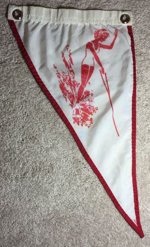 Vintage water skiing flag, taylor water skier pennant, boating