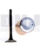 Dnj engine components ev922 exhaust valve