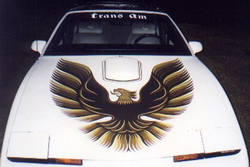 82-92 firebird/trans am 70-81 style large hood bird decal gold