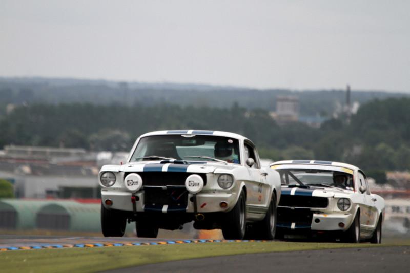 Ford mustang shelby gt350 hd poster muscle car print multiple sizes available