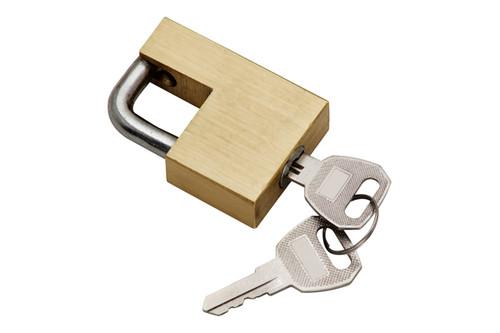 Tow ready 63230 - universal adjustable brass coupler lock