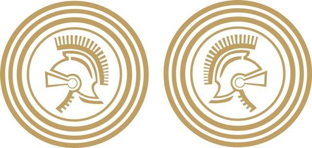 Cessna centurion decal/sticker 6.5"round gold/white!