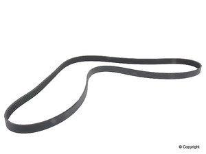 Vw jetta beetle golf tdi serpentine belt 1998-2004
