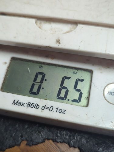 (6.5 oz bag ) of NEW GENUINE OEM MERCURY OUTBOARD NEEDLE BEARINGS 29-47270, US $29.00, image 4