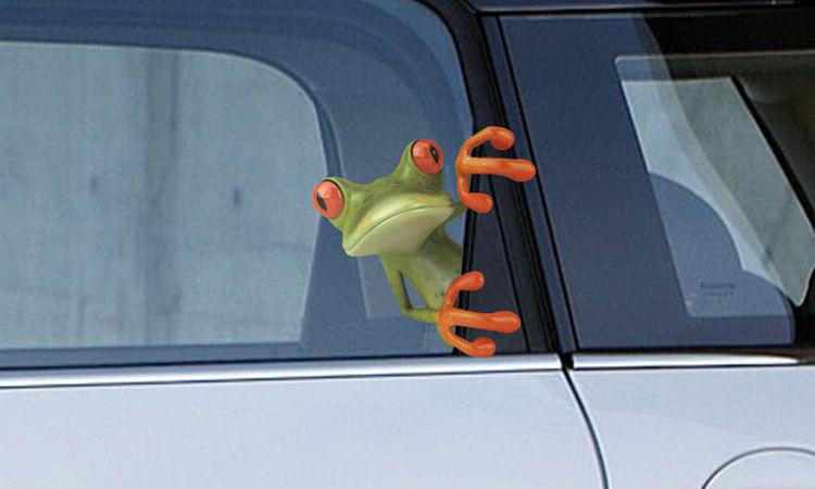 3D Tree Frog Window Decal Decals FOR FORD CC POLO TOYOTA MUSTANG Mini Cooper #F2, US $1.99, image 2