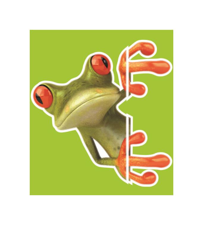3D Tree Frog Window Decal Decals FOR FORD CC POLO TOYOTA MUSTANG Mini Cooper #F2, US $1.99, image 3