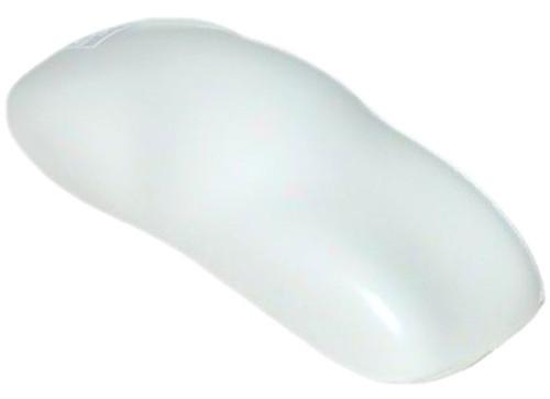 Hot rod flatz pure white gallon kit urethane flat auto car paint kit