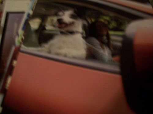 2011 subaru impreza   brochure