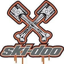Brand new ski-doo techno bee piston bones decal