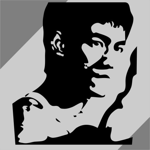 Car truck vinyl decals sticker tailgate stickers kung fu  lee 5'' x 6'' #cj260