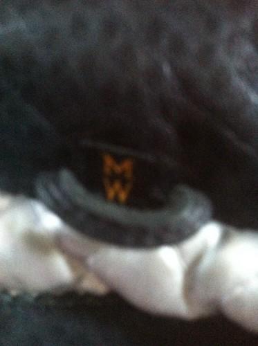 Harley Davidson Leather Womens Riding Jacket Nice Check It Out!!!, US $150.00, image 4