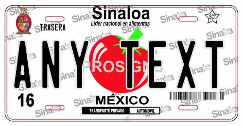 Sinaloa mexico license plate auto truck placas