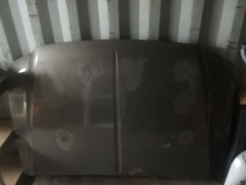 Used ford hood 1999-2004