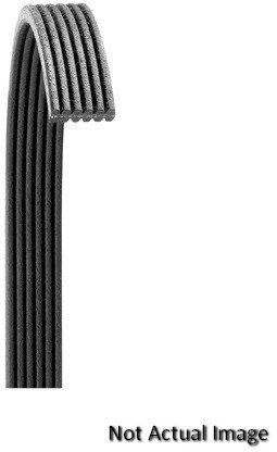 Dayco 5050250 serpentine belt