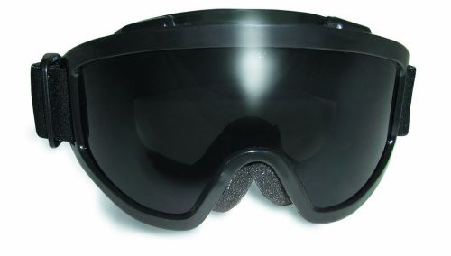 Global vision windshield goggles with smoke lens