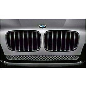 Bmw e70 x5 black grills