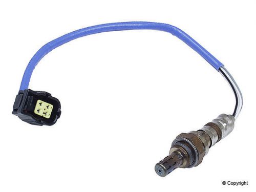 Oxygen sensor-ntk front wd express 800 14026 065