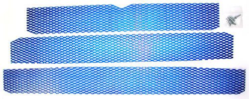 Dudeck screen kit polaris candy blue