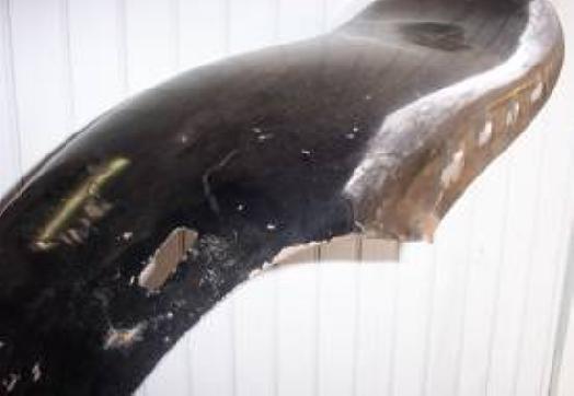 Vintage Car Antique Car Classic Car -Hot Rod- 1930's MYSTERY REAR FENDER- LOOK, US $100.00, image 2