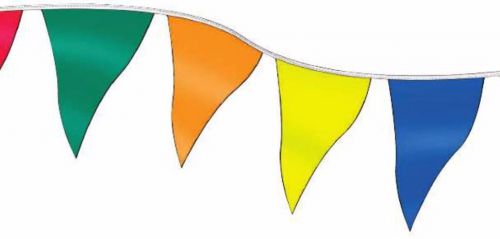 Multicolor economy 12x18 poly pennant streamers