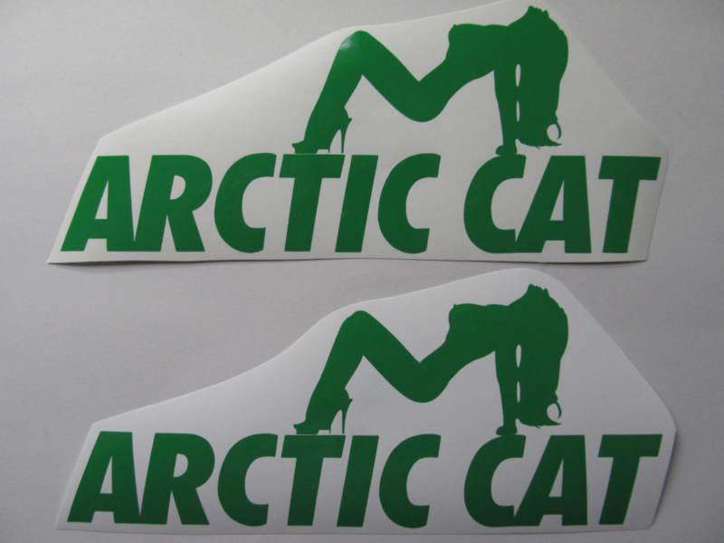Arctic cat artic snowmobile decal atv quad trailer ski sled sticker any color