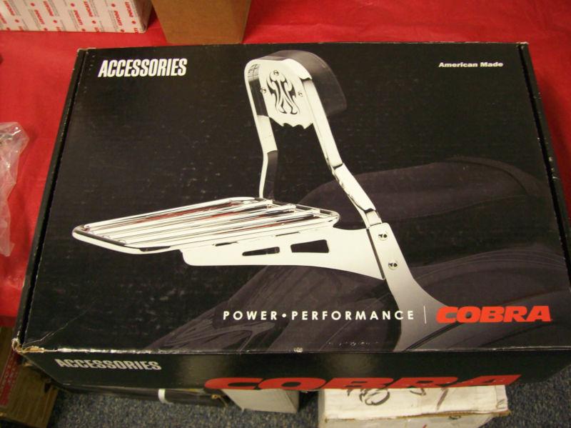 Yamaha xvs1100 sissy bar w/pad short