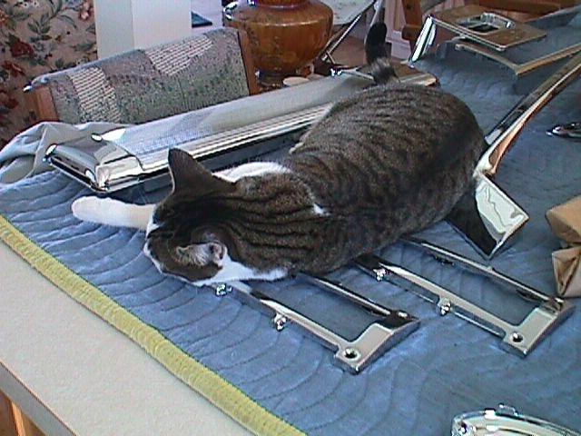 65 66 1965 1966 BUICK CADILLAC CHEV OLDS PONTIAC DOOR JAMB SEAL PAIR NEW!, US $37.00, image 4