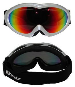 Birdz ice bird ski goggles snow mobile snowboard silver revo lens