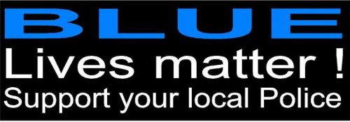 Blue lives matter - support your local police window decal- 8" x 24"- free ship!