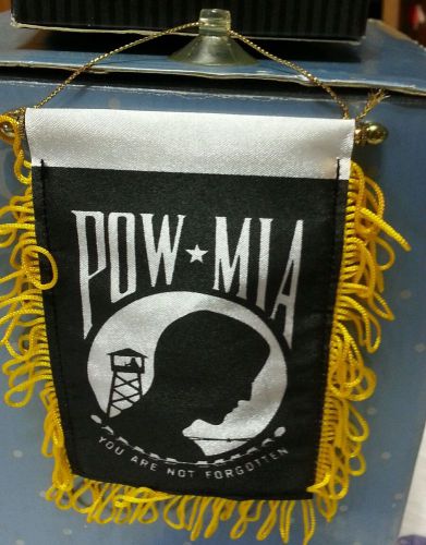 Pow mia  window hanging with suction holder for easy removal.