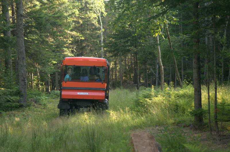 2009 Kubota rtv1100, US $16,000.00, image 5