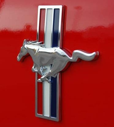 Look!!! oem 2006-2014 ford mustang pony rh front fender emblem (6r3z16228a)