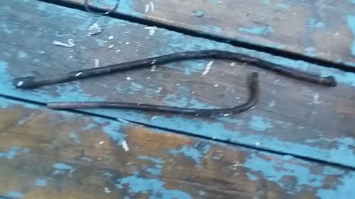 Elgin 25 hp model j9 water tube boat motor outboard 1960