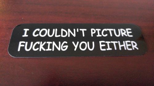 Motorcycle sticker for helmets or toolbox #1,561 i couldn't picture you either