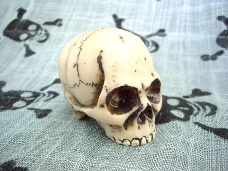Diy zombie bone skull jawless shift knob human cranium shifter handle lever new