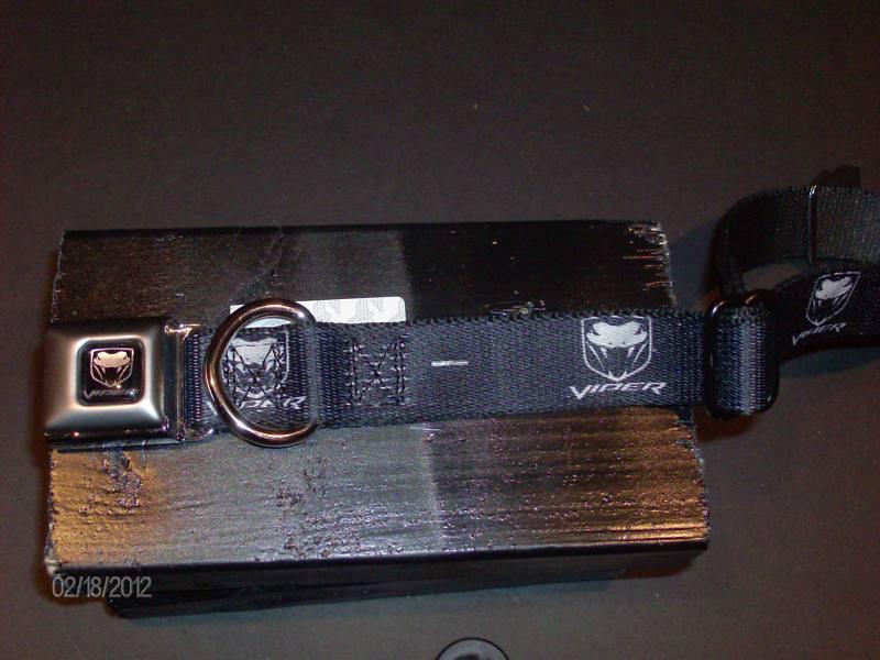 New viper dog collar medium