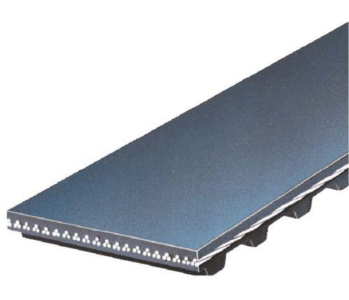 Gates t244 timing belt-powergrip premium oe timing belt